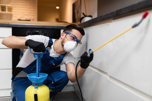 Best Ant Control Services  in Lake Marcel Stillter, WA