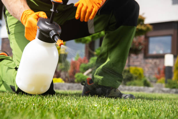 Best Pest Prevention Services  in Lake Marcel Stillter, WA