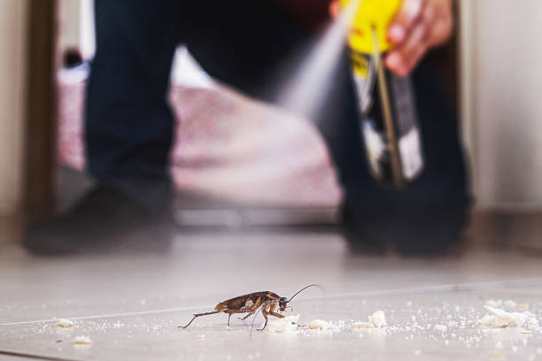 Best Best Pest Control Companies  in Lake Marcel Stillter, WA
