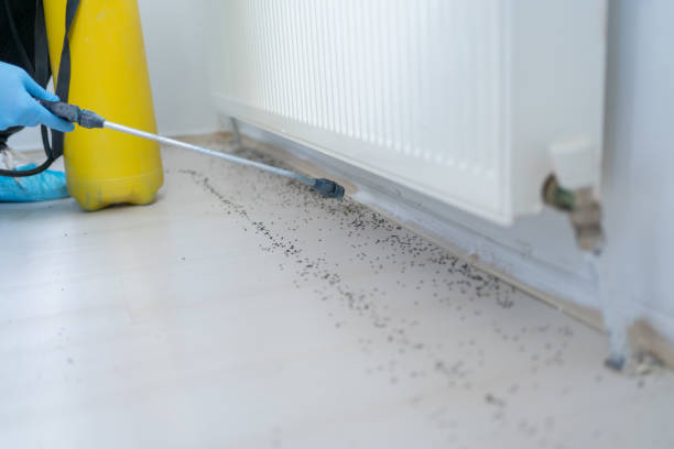 Trusted Lake Marcel Stillwater, WA Pest Control Experts