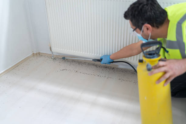 Best Wasp Removal Services  in Lake Marcel Stillter, WA